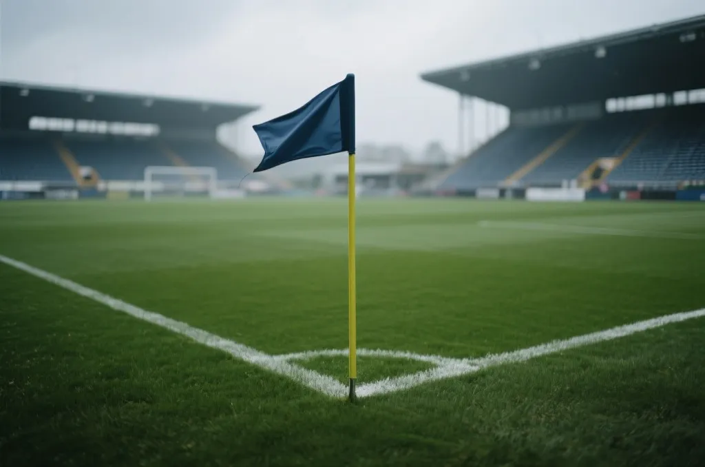 比赛日天气与场地条件示意，球场草皮与风向旗帜